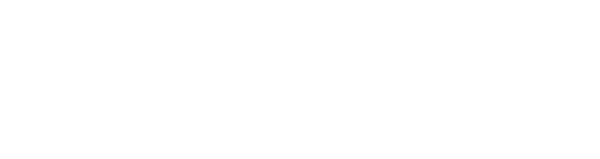 SANY logo